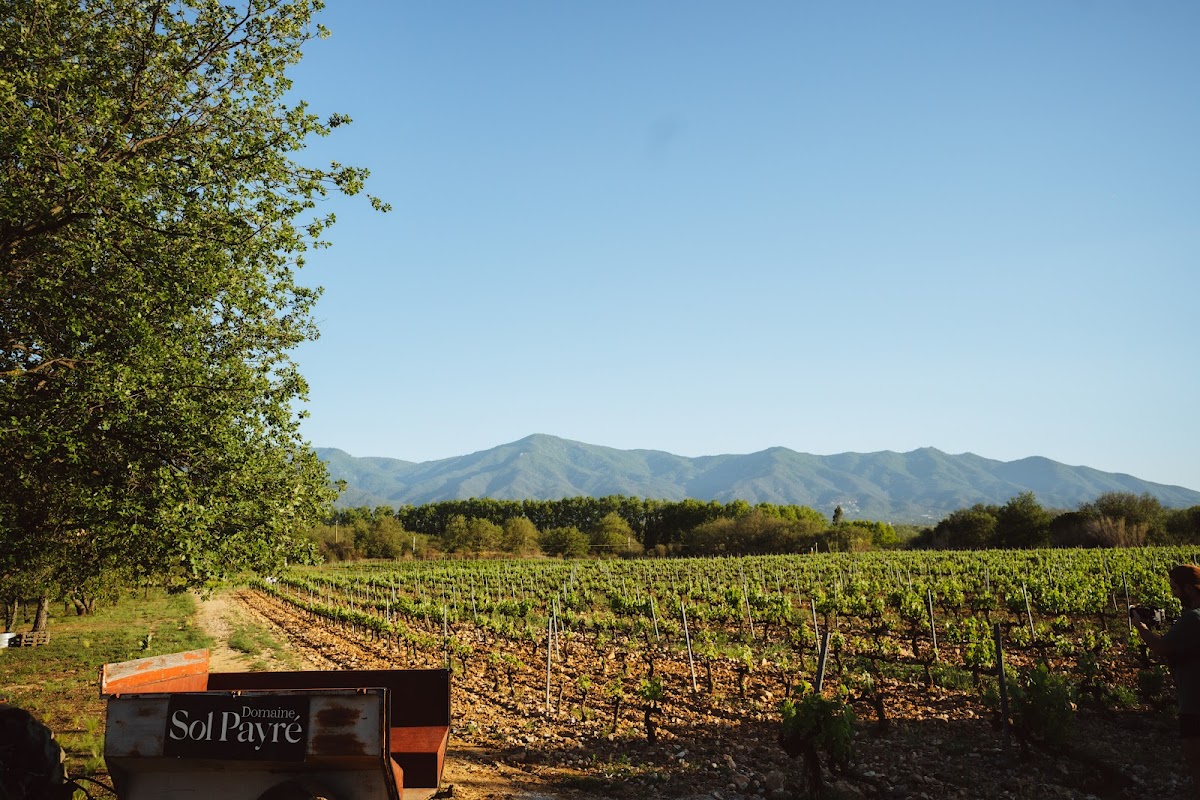 Domaine Sol-Payre-5